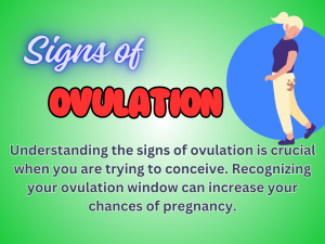 Signs of Ovulation